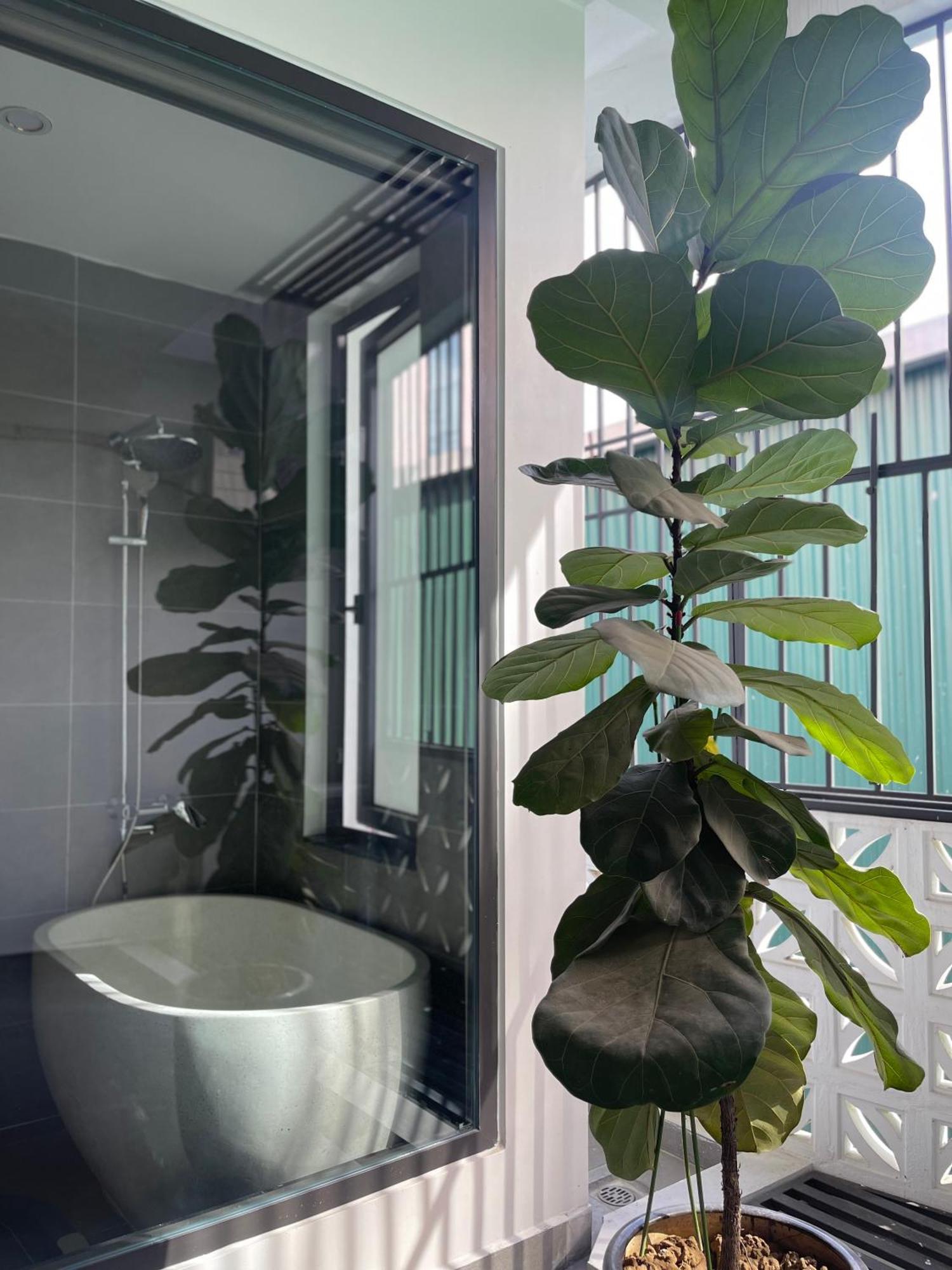 Alala Homestay- Tuyen Quang City Center- Trung Tam Thanh Pho Tuyen Quang Bagian luar foto